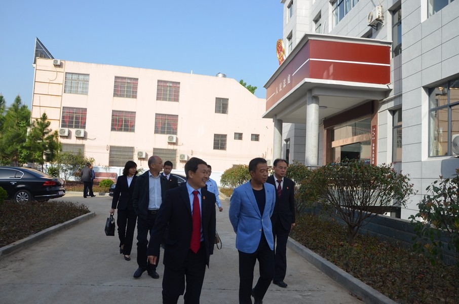 1黄冈市中级法庭党组书记、院长肖笛视察宋埠法庭.JPG