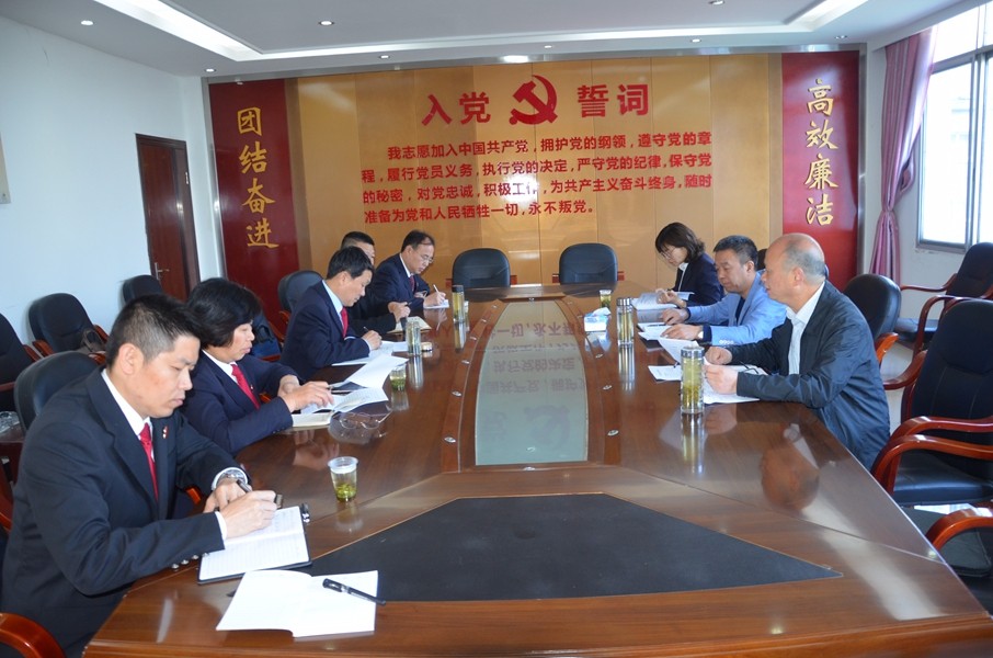 2在宋埠法庭召开座谈会.JPG
