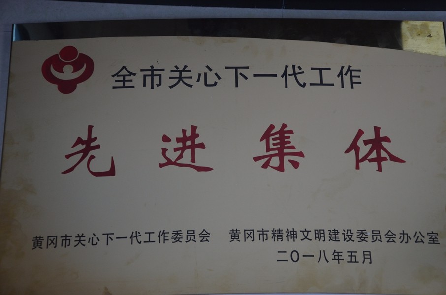 麻城市法院荣获“黄冈市关系下一代工作先进集体”.JPG