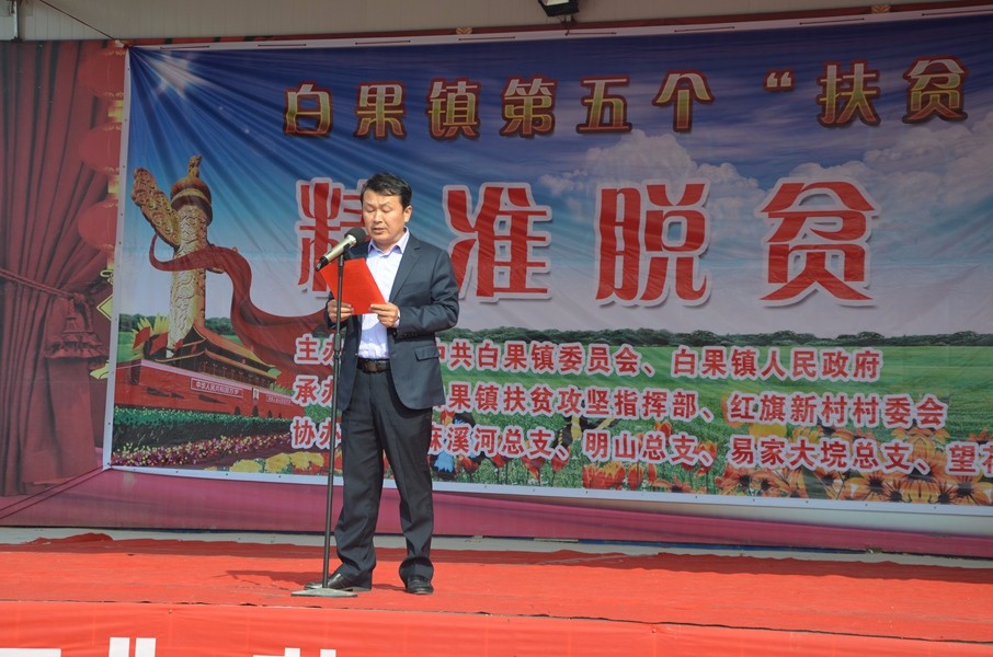 图一麻城市法院党组书记、院长潘敬秋在启动仪式上讲话.JPG