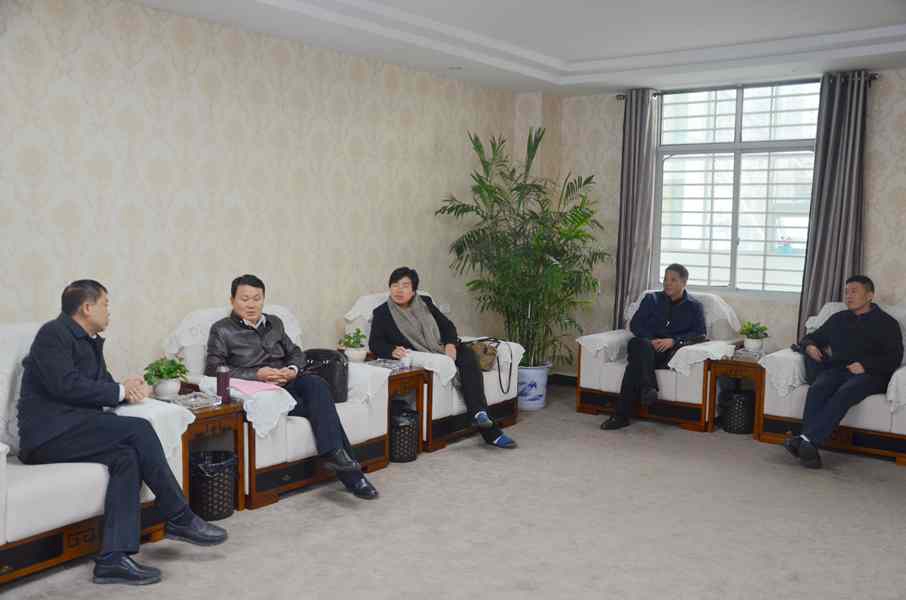 图三  在湖北大帆汽车零部件有限公司调研.JPG