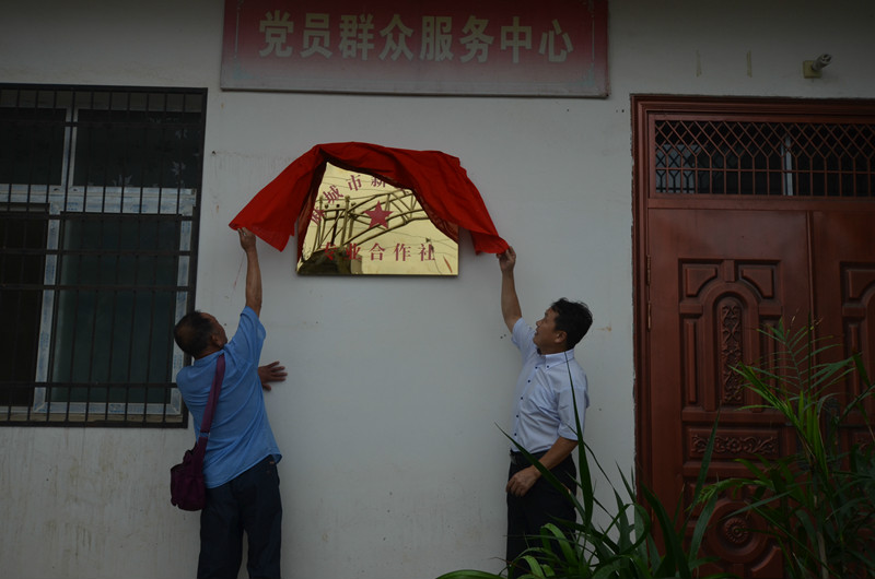 1麻城市法院党组书记、院长潘敬秋和新型种植专业合作社负责人夏合川为合作社揭牌.JPG