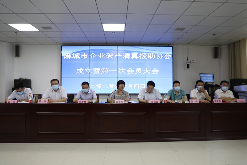 图一 麻城市法院主持召开麻城市企业破产清算援助协会成立暨第一次会员大会.JPG