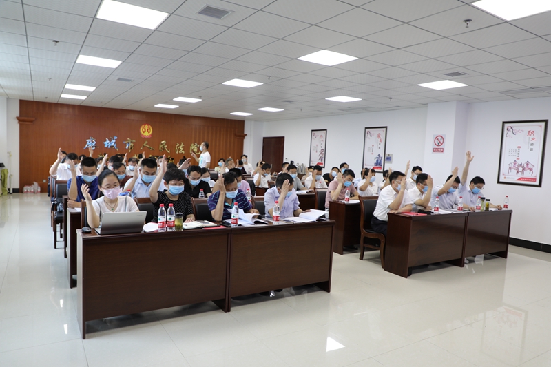 图三 举手表决.JPG