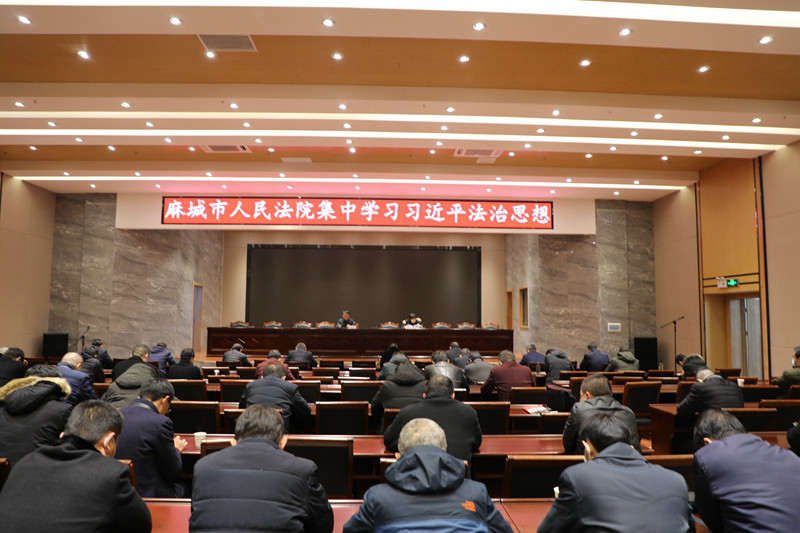 图六  麻城市人民法院全院干警集中学习习近平法治思想.JPG
