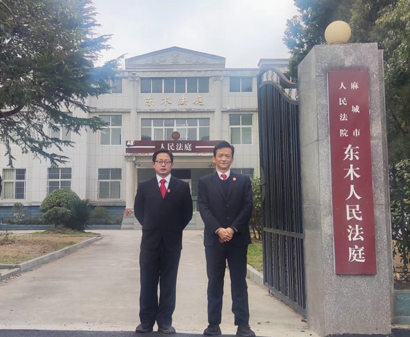 东木法庭.jpg